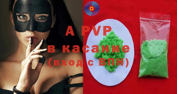 прущие грибы Дмитров