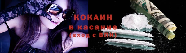 прущие грибы Дмитров