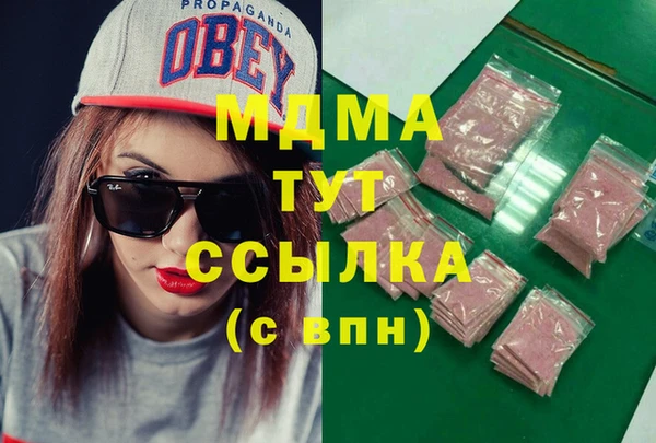 прущие грибы Дмитров