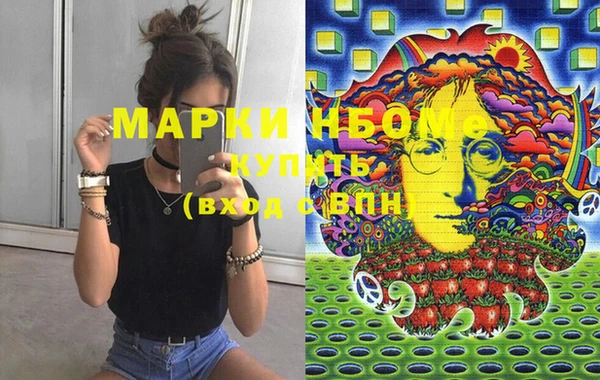 прущие грибы Дмитров
