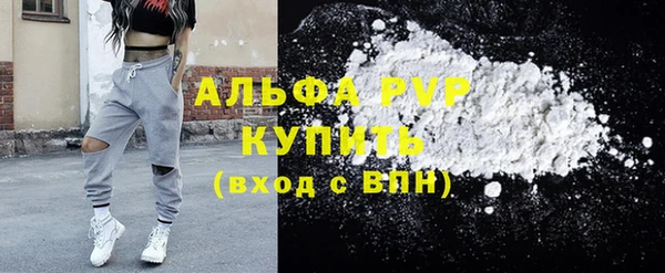 прущие грибы Дмитров