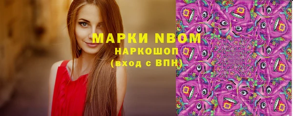 прущие грибы Дмитров