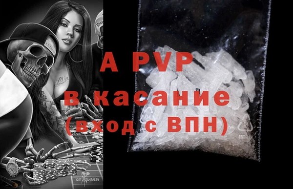 прущие грибы Дмитров