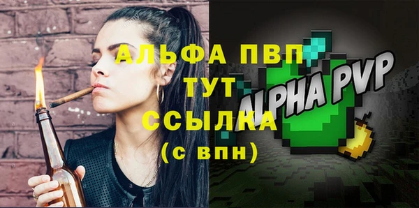 прущие грибы Дмитров