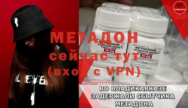прущие грибы Дмитров