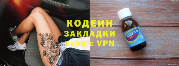 прущие грибы Дмитров