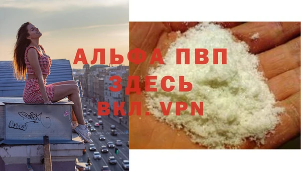 прущие грибы Дмитров